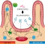 장내 미생물이 뱉는 포스트바이오틱스에 주목하라