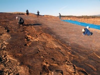 고생물학자들 세계 최대 진주 공룡 발자국 화석지 현지 보존해야 성명