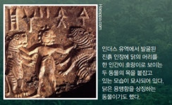 [주말 고고학산책] 최초로 닭을 키운 사람은 누구였을까