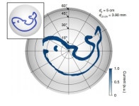 [인간·공감·AI]⑧동물 눈 모방한 카메라로 시각혁명 이끈다