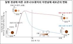 자연면역 약상 | 코로나19, 초기 면역 관여하는 자연살해 세포 기능 감소시킨다