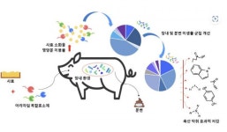효소로 만든 사료첨가제로 축산 악취 없앤다