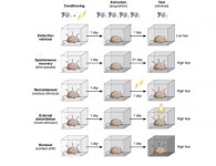 [일상 속 뇌과학] 나쁜 기억은 왜 쉽게 잊혀지지 않을까
