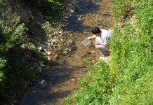 [과학게시판] 국립중앙과학관 등 4개 기관, 무주 반딧불이 연구 위한 업무협약 外