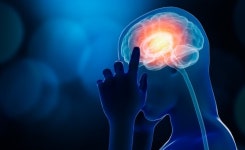 만성통증 환자에 희소식...뇌에서 전기신호 최초 확인