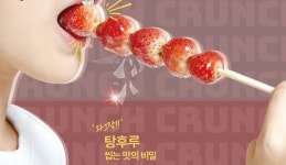 와그작 탕후루 씹는 맛의 과학적 비밀