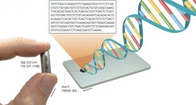 세상에서 가장 작은 도서관, DNA
