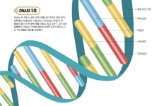 세상에서 가장 작은 도서관, DNA