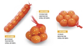 귤을 많이 담으려면…귤포장에 숨은 수학
