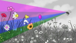 빛의 파동을 색채로 인식하는 뇌 회로 찾았다