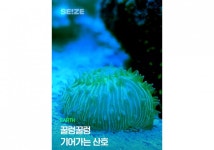 [사이언스영상] 꿀렁꿀렁 기어가는 산호