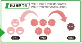 한국 첫 대변 은행 가보니…미생물로 병 고쳐요