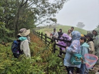 젓가락으로 양 똥을 파헤치면?…대관령 목장에서 잊지 못할 생태 탐사
