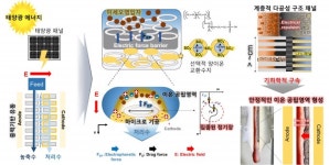 태양광 전기로 여과막 없이 물속 미세플라스틱·세균 없앤다