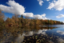 親 비트코인 에릭 애덤스 뉴욕시장, 가상화폐 채굴 반대한다
