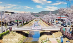 [핫플레이스213] 봄의 여왕 벚꽃, 문경서 조용하고 여유롭게 즐기세요