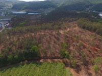 세종시산림조합, 주말농장 '산림텃밭' 분양