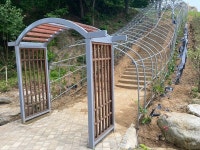 함양산삼항노화엑스포 대비 산삼주제관 주변 정비 만전