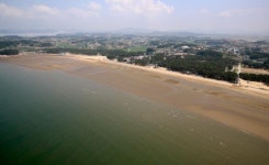 내달 3일 개장 태안 3개 해수욕장서 승차형 발열검사