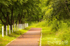 [현장포커스] 춘천 하중도수변생태공원 새들의 낙원이냐 시민의 공원이냐