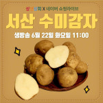 서산 팔봉산감자·6쪽마늘 라이브커머스 실시간 판매