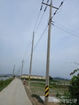 한전, 무허가 전봇대 세우고 뒷짐...토지주들 원성