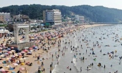 충남 해수욕장 열렸다…대천 등 29곳 개장