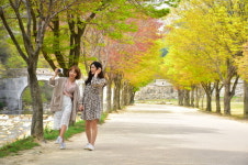 서울에서 2시간, 코로나도 비껴간 문경단산관광모노레일