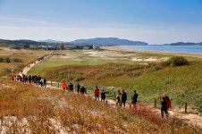 [축제 208] 힐링 절호의 찬스 태안서 가을축제들 손짓
