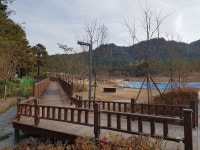 대전시, 구봉산 선유근린공원 무장애 나눔길 조성