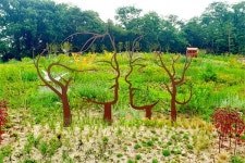 도봉구, 과수원 지역 정비 초안산 하늘꽃 정원 조성