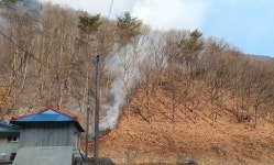 강원 인제 남면서 산불…헬기 3대·67명 투입