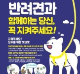 강원도 개 목줄 2ｍ, 펫티켓 지켜주세요…반려동물 공공예절 캠페인 전개