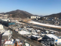 정부 