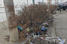 [현장포커스] 인천 서해대로 해안도로 쓰레기 방치 눈총