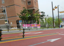 동작구, 학교주변 불법광고물 일제정비