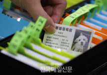 반려동물 유기·유실 방지 위해 등록제도 다변화해야
