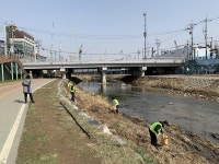 구로구, 지역내 하천 깨끗하게 변했다