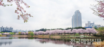 [전매포토] 봄의 수채화