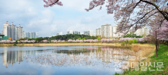 오늘날씨 일요일, 서울근교 드라이브코스 벚꽃엔딩명소 2022벚꽃개화만개시기