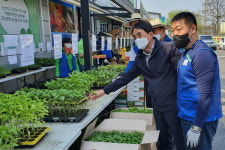 남양주시 와부농협, 시중가격보다 저렴한 모종시장 인기몰이