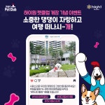 하이원리조트 소중한 댕댕이 자랑하고 하이원으로 떠나시~개