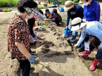 성북구 치매안심센터, 치유농장 프로그램 운영