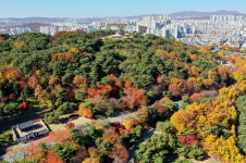 [핫플레이스 268] 수원에서 만나는 가을…단풍 명소 10곳 선정