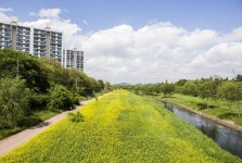 인천시 승기천 물길복원 방안 모색…상습침수 해결할 것