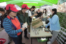 청춘양구 펀치볼 시래기 사과축제...국가애도기간 일부 축소 진행