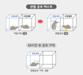 사이코패스 등 정신질환 치료 길 열리나...뇌 공감능력 비밀 풀었다