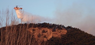 예천 불길 1.2㎞ 산불 2단계…가까운 주민센터·경로당으로 대피