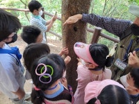 동작구, 자연과 함께하는 숲 해설프로그램 무료 운영