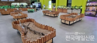 여주곤충박물관, 곤충 인식개선 박물관·미술관 주간 특별전시 
